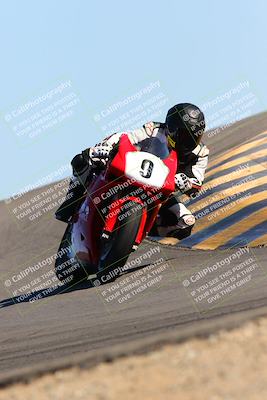 media/Feb-12-2022-SoCal Trackdays (Sat) [[3b21b94a56]]/Turn 12 (140pm)/